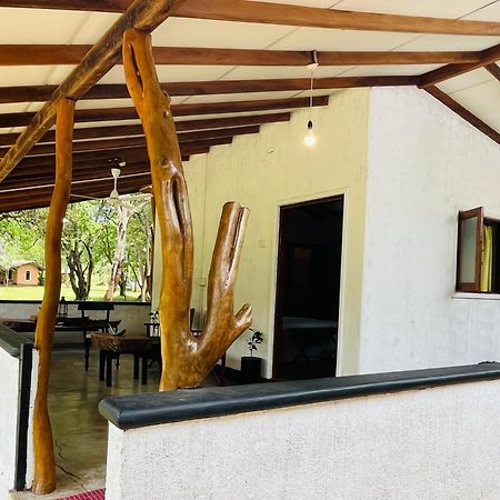 Funky Leopard Safari Lodge Bordering Yala National Park カタラガマ エクステリア 写真