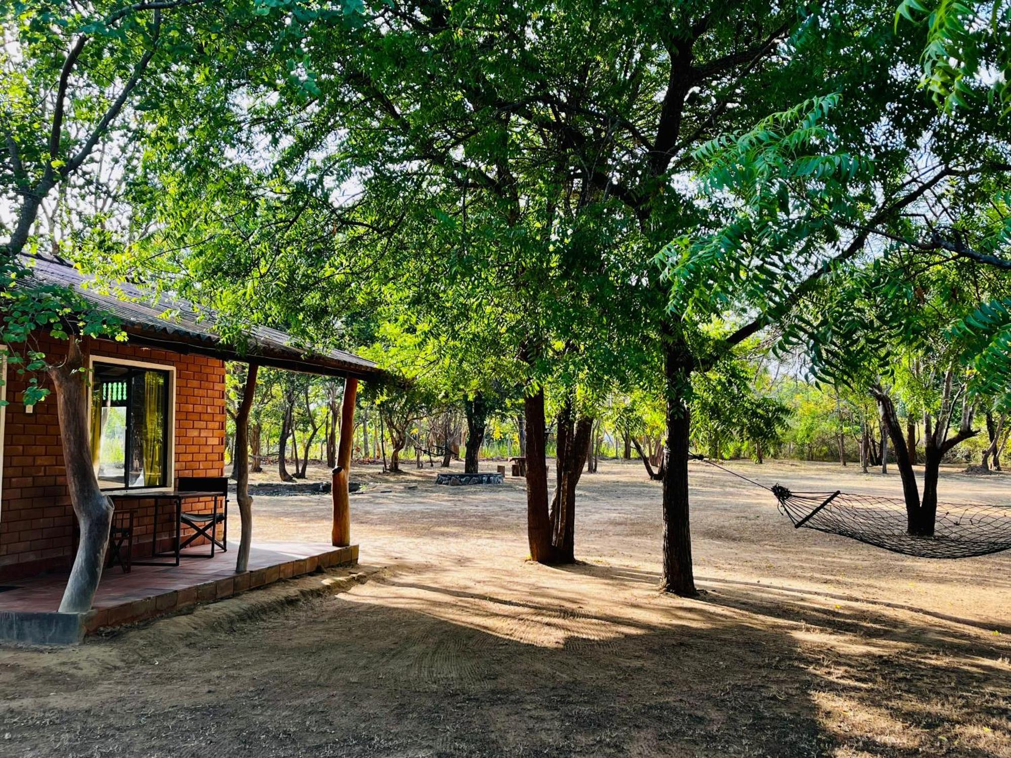 Funky Leopard Safari Lodge Bordering Yala National Park カタラガマ エクステリア 写真
