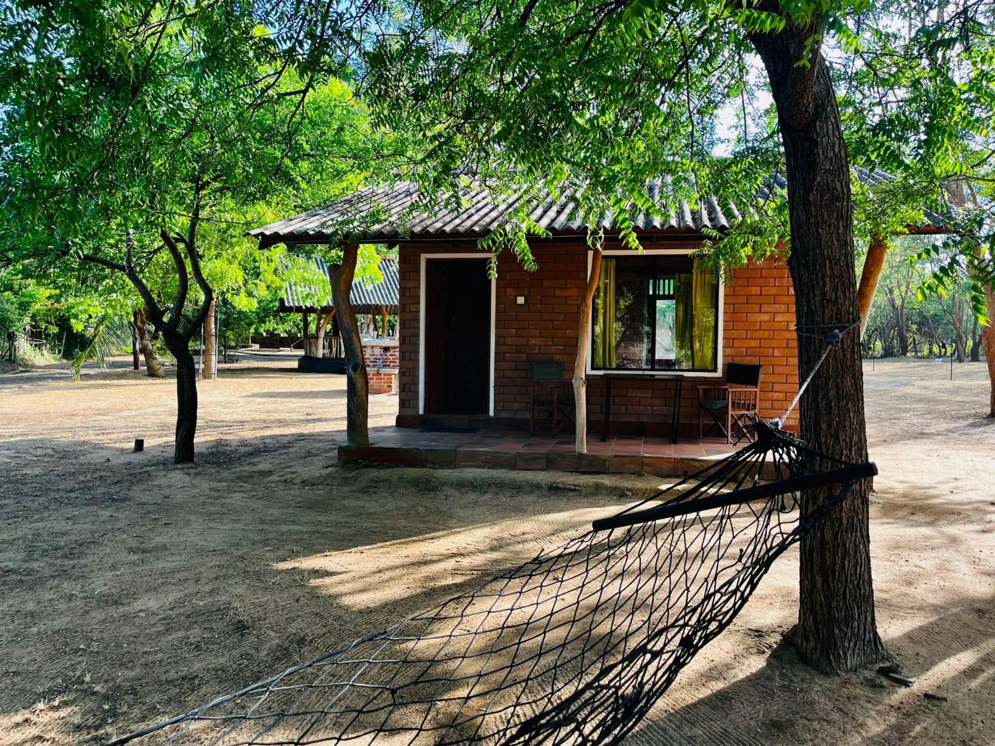 Funky Leopard Safari Lodge Bordering Yala National Park カタラガマ エクステリア 写真